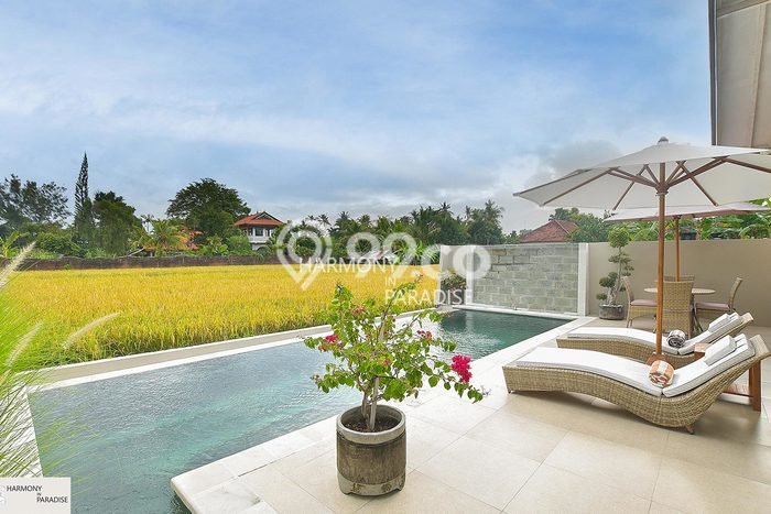 BISNIS POTENSIAL! Vila di , Area 240m2m², Hasil Menjanjikan BISNIS POTENSIAL! Vila di , Area 240m2m², Hasil Menjanjikan
