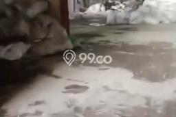 Pabrik Dijual Lokasi Stratagis di Pakuhaji Tangerang Cocok untuk Investasi Pabrik Dijual Lokasi Stratagis di Pakuhaji Tangerang Cocok untuk Investasi