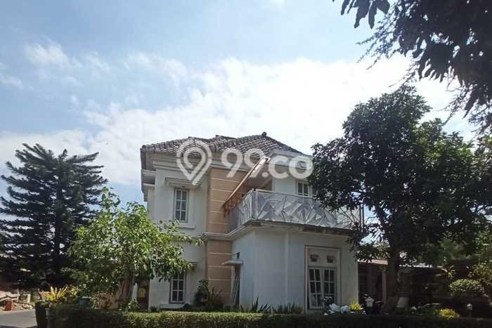 Palm Regency Palm Regency