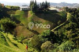 Lahan Kosong Dijual di Lembang, Bandung Barat, Luas 100000m2 Area Strategis Lahan Kosong Dijual di Lembang, Bandung Barat, Luas 100000m2 Area Strategis