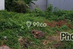 Tanah Dijual di Jakarta Utara Seluas 360m2 Strategis Tanah Dijual di Jakarta Utara Seluas 360m2 Strategis