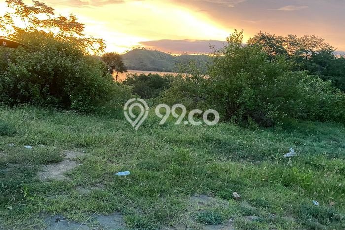 LOKASI STRATEGIS! Tanah Kawasan Labuan Bajo, Luas 3385m², Akses Strategis LOKASI STRATEGIS! Tanah Kawasan Labuan Bajo, Luas 3385m², Akses Strategis