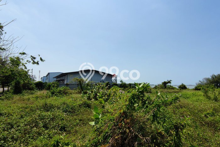 Kavling Tanah Dijual di Tugu, Semarang, Luas 1000m2 Area Strategis Kavling Tanah Dijual di Tugu, Semarang, Luas 1000m2 Area Strategis