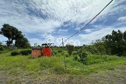 Tanah Kavling untuk Dijual di Mijen Semarang 19148m2 Tanah Kavling untuk Dijual di Mijen Semarang 19148m2