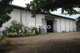 Lokasi Strategis! Dijual Gudang Bisnis di Biring Kanaya, Makassar Kondisi Bagus Lokasi Strategis! Dijual Gudang Bisnis di Biring Kanaya, Makassar Kondisi Bagus