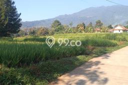 Tanah Strategis Dijual di Cijeruk Bogor 2m2 Tanah Strategis Dijual di Cijeruk Bogor 2m2