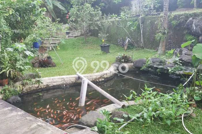 Jual Rumah Luas Megah Dengan View Cantik di Sentul City, Bogor Jual Rumah Luas Megah Dengan View Cantik di Sentul City, Bogor