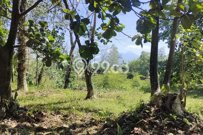 Dijual Tanah Lokasi Sentul City, Bogor Seluas 1530m2 Dijual Tanah Lokasi Sentul City, Bogor Seluas 1530m2