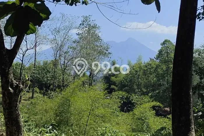 Dijual Tanah Lokasi Sentul City, Bogor Seluas 1530m2 Dijual Tanah Lokasi Sentul City, Bogor Seluas 1530m2