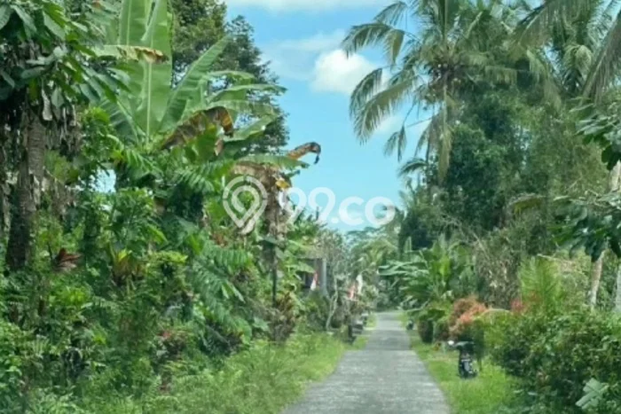 Kavling Tanah Dijual di Baturiti Tabanan Spesifikasi 3260m2 Kavling Tanah Dijual di Baturiti Tabanan Spesifikasi 3260m2