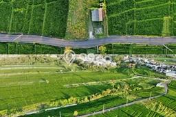 Tanah Kavling Dijual di Badung dengan Spesifikasi 1800m2 Tanah Kavling Dijual di Badung dengan Spesifikasi 1800m2
