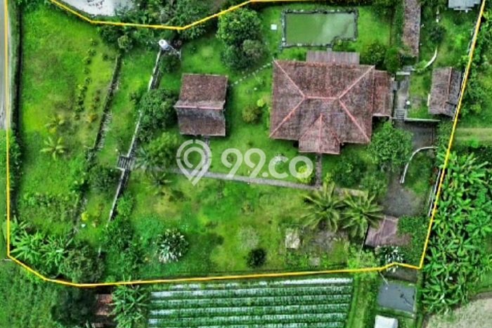 Kavling Tanah Dijual di Baturiti Tabanan Spesifikasi 3260m2 Kavling Tanah Dijual di Baturiti Tabanan Spesifikasi 3260m2