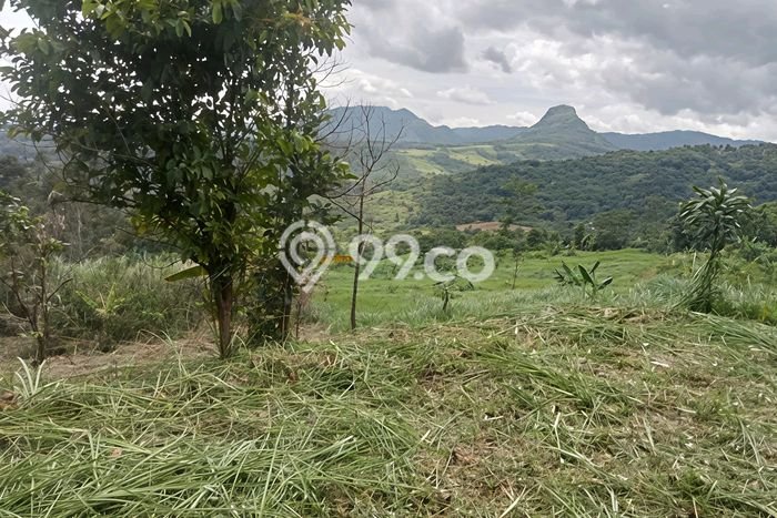 Tanah untuk Dijual Lokasi Sukamakmur, Bogor Luas 23000m2 SHM Tanah untuk Dijual Lokasi Sukamakmur, Bogor Luas 23000m2 SHM