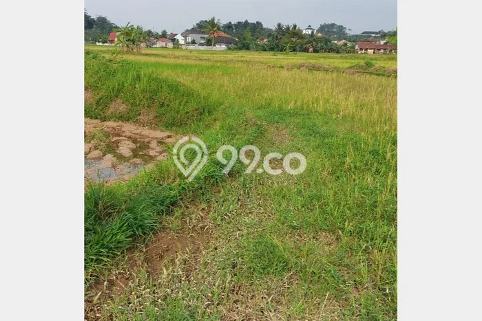 Tanah Dijual Lokasi Leuwisadeng, Bogor Luas 2000m2 Legalitas Aman Tanah Dijual Lokasi Leuwisadeng, Bogor Luas 2000m2 Legalitas Aman