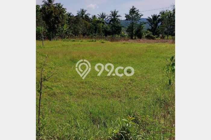 Kavling Tanah di Leuwisadeng Dijual Luas 1400m2 Legalitas SHM Kavling Tanah di Leuwisadeng Dijual Luas 1400m2 Legalitas SHM