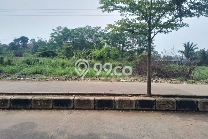 Kavling Tanah di Sawangan Dijual Luas 1000m2 Legalitas SHM Kavling Tanah di Sawangan Dijual Luas 1000m2 Legalitas SHM