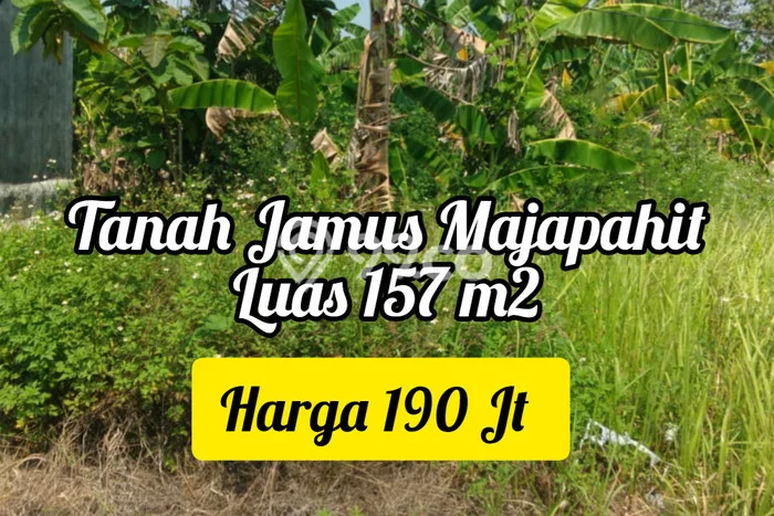 Tanah Kavling Dijual di Semarang dengan Spesifikasi 157m2 Tanah Kavling Dijual di Semarang dengan Spesifikasi 157m2