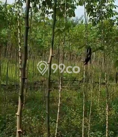 Tanah Kavling Dijual di Cibogo, Tangerang dengan Luas Tanah 4000m2 Tanah Kavling Dijual di Cibogo, Tangerang dengan Luas Tanah 4000m2