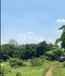 Tanah Dijual Lokasi Cikeusal, Serang Luas 9013m2 Legalitas Aman Tanah Dijual Lokasi Cikeusal, Serang Luas 9013m2 Legalitas Aman