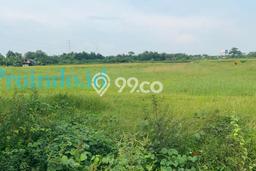 Tanah untuk Dijual Lokasi Karawang Timur, Karawang Luas 350000m2 - Tanah untuk Dijual Lokasi Karawang Timur, Karawang Luas 350000m2 -