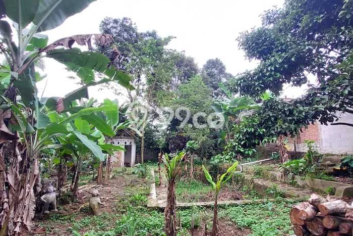Tanah Dijual Area Strategis di Ciapus Bogor 5148m2 Tanah Dijual Area Strategis di Ciapus Bogor 5148m2
