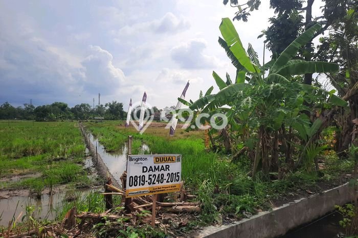 Kavling Tanah di Baki Dijual Luas 4815m2 Legalitas SHM Kavling Tanah di Baki Dijual Luas 4815m2 Legalitas SHM