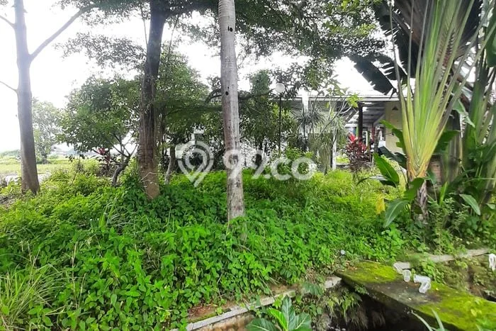 Kavling Tanah di Banyudono Dijual Luas 13500m2 Legalitas SHM Kavling Tanah di Banyudono Dijual Luas 13500m2 Legalitas SHM