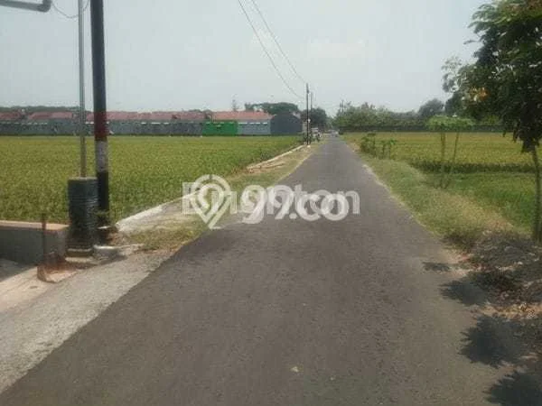 Tanah Dijual Lokasi Sragen, Sragen dengan Luas Tanah 1460m2 dan Status SHM Tanah Dijual Lokasi Sragen, Sragen dengan Luas Tanah 1460m2 dan Status SHM