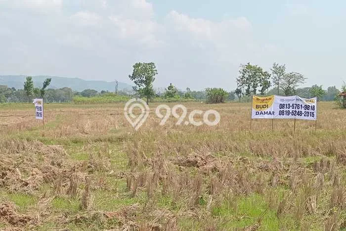 POTENSIAL! Tanah di Selogiri, Luas 2932m2m², Lokasi Strategis POTENSIAL! Tanah di Selogiri, Luas 2932m2m², Lokasi Strategis