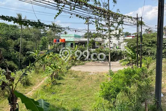 Tanah di Ampel, Boyolali Luas 2432m2 Dijual Segera Tanah di Ampel, Boyolali Luas 2432m2 Dijual Segera