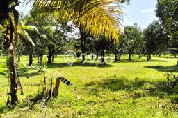 Lahan Strategis di Cikupa Dijual dengan Luas 25000m2 Lahan Strategis di Cikupa Dijual dengan Luas 25000m2