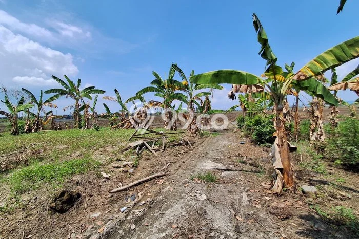 Kavling Tanah di Karanganyar Dijual Luas 219m2 Legalitas SHM Kavling Tanah di Karanganyar Dijual Luas 219m2 Legalitas SHM