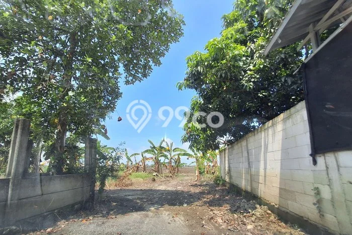 Kavling Tanah di Karanganyar Dijual Luas 219m2 Legalitas SHM Kavling Tanah di Karanganyar Dijual Luas 219m2 Legalitas SHM