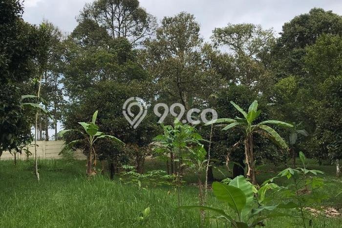 Kavling Tanah di Bogor Barat Dijual Luas 22000m2 Legalitas PPJB Kavling Tanah di Bogor Barat Dijual Luas 22000m2 Legalitas PPJB