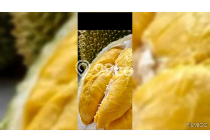 Lahan Kosong Dijual di Kuningan dengan Area 36000m2 Lahan Kosong Dijual di Kuningan dengan Area 36000m2