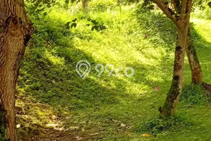 Lahan untuk Dijual Lokasi Lembang, Bandung Barat Luas 831m2 SHM Lahan untuk Dijual Lokasi Lembang, Bandung Barat Luas 831m2 SHM