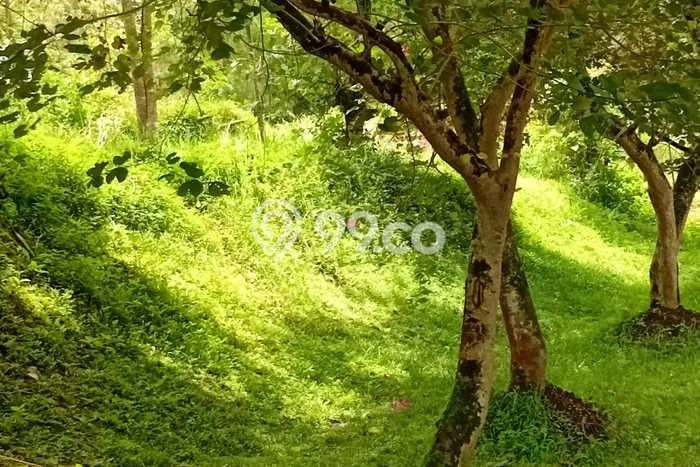 Lahan untuk Dijual Lokasi Lembang, Bandung Barat Luas 831m2 SHM Lahan untuk Dijual Lokasi Lembang, Bandung Barat Luas 831m2 SHM