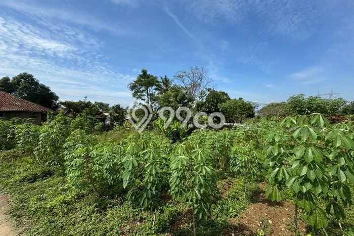 Untuk Dijual Tanah di Baleendah Bandung Luas 826m2 SHM Untuk Dijual Tanah di Baleendah Bandung Luas 826m2 SHM