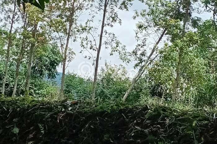 Lahan Kosong Dijual di Bandung Barat dengan Area 1365m2 Lahan Kosong Dijual di Bandung Barat dengan Area 1365m2