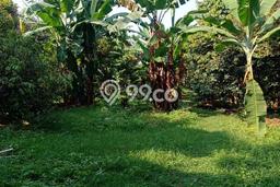 Kavling Tanah Dijual di Tapos, Depok, Luas 8000m2 Area Strategis Kavling Tanah Dijual di Tapos, Depok, Luas 8000m2 Area Strategis
