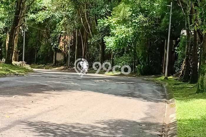Lahan Kosong Dijual di Bandung Barat dengan Area 1365m2 Lahan Kosong Dijual di Bandung Barat dengan Area 1365m2