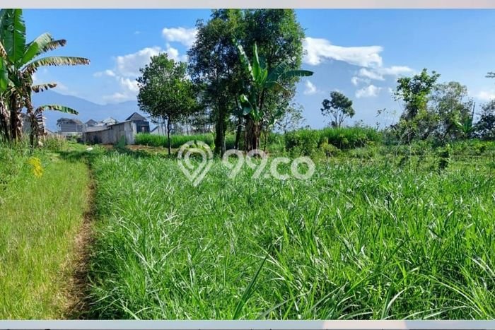 Lahan Kosong Dijual di Batu, Batu, Luas 280m2 Area Strategis Lahan Kosong Dijual di Batu, Batu, Luas 280m2 Area Strategis