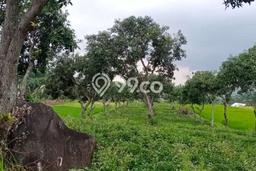 Tanah Kavling Dijual di Mojokerto dengan Spesifikasi 3400m2 Tanah Kavling Dijual di Mojokerto dengan Spesifikasi 3400m2