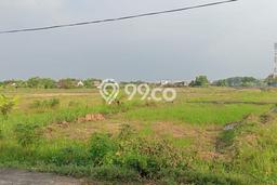 Tanah untuk Dijual di Buduran Sidoarjo Luas 30000m2 Tanah untuk Dijual di Buduran Sidoarjo Luas 30000m2