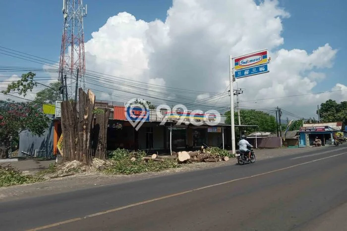 Untuk Dijual Komersial di Situbondo Situbondo LT 772m2 / LB 772m2 Untuk Dijual Komersial di Situbondo Situbondo LT 772m2 / LB 772m2