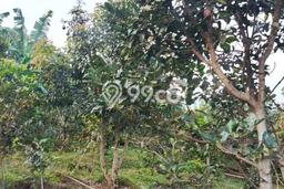 Kavling Tanah untuk Dijual di Malang Kota, Malang, Luas 992m2 Kavling Tanah untuk Dijual di Malang Kota, Malang, Luas 992m2