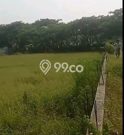 Tanah Komersial Dijual di Bojonegoro Bojonegoro 3587m2 Tanah Komersial Dijual di Bojonegoro Bojonegoro 3587m2