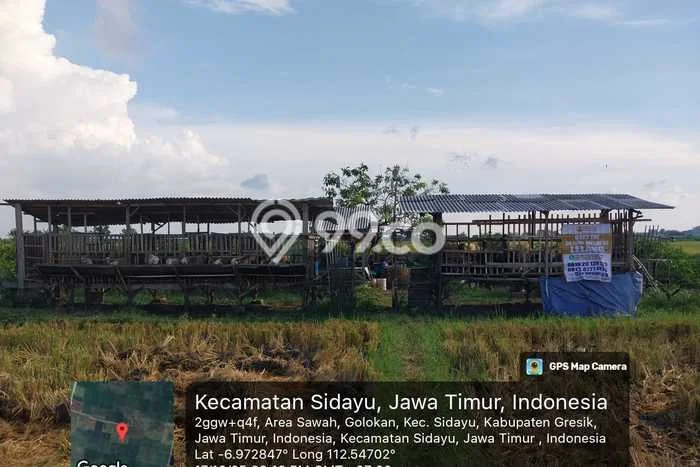 Dijual Tanah 2006m2 di Ujung Pangkah, Gresik Dijual Tanah 2006m2 di Ujung Pangkah, Gresik