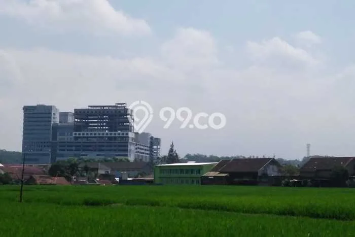 Tanah Kosong Dijual di Jember dengan Area 981m2 Tanah Kosong Dijual di Jember dengan Area 981m2