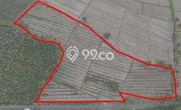 Lahan Dijual Lokasi Pujer, Bondowoso dengan Luas Tanah 10983m2 dan Status SHM Lahan Dijual Lokasi Pujer, Bondowoso dengan Luas Tanah 10983m2 dan Status SHM
